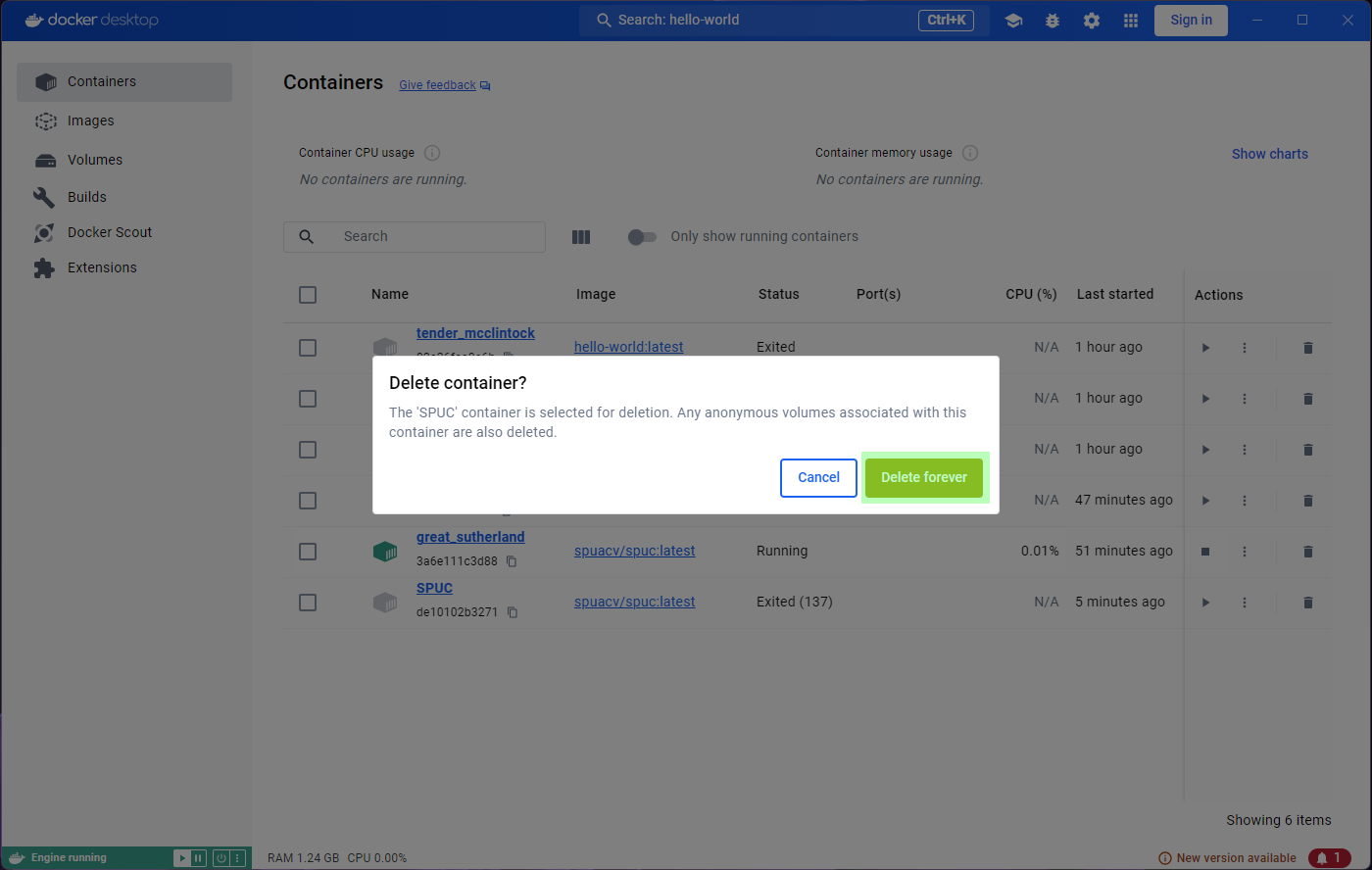 Deleting container SPUC - Step 2