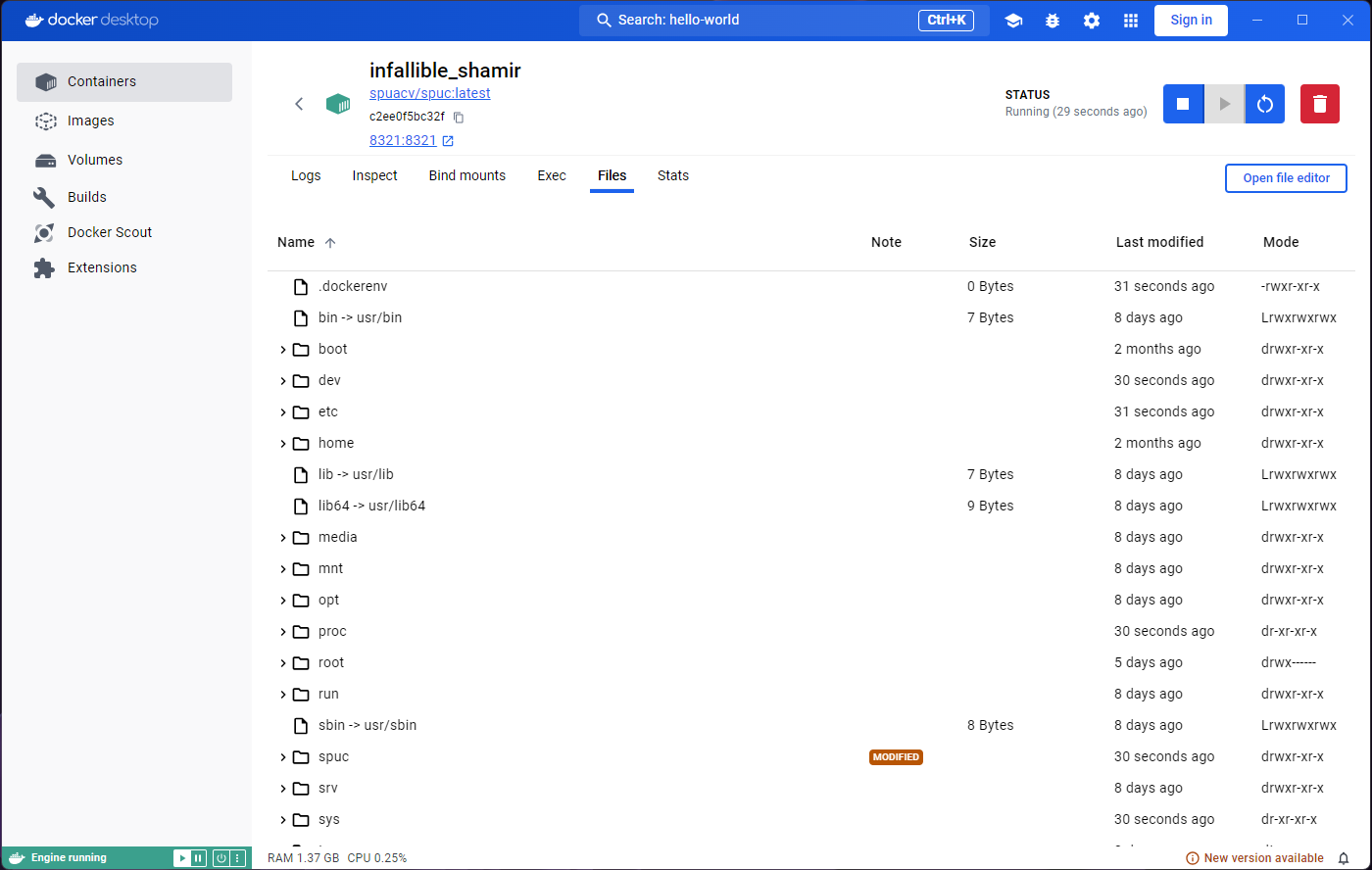 Files tab in container from spuc image.