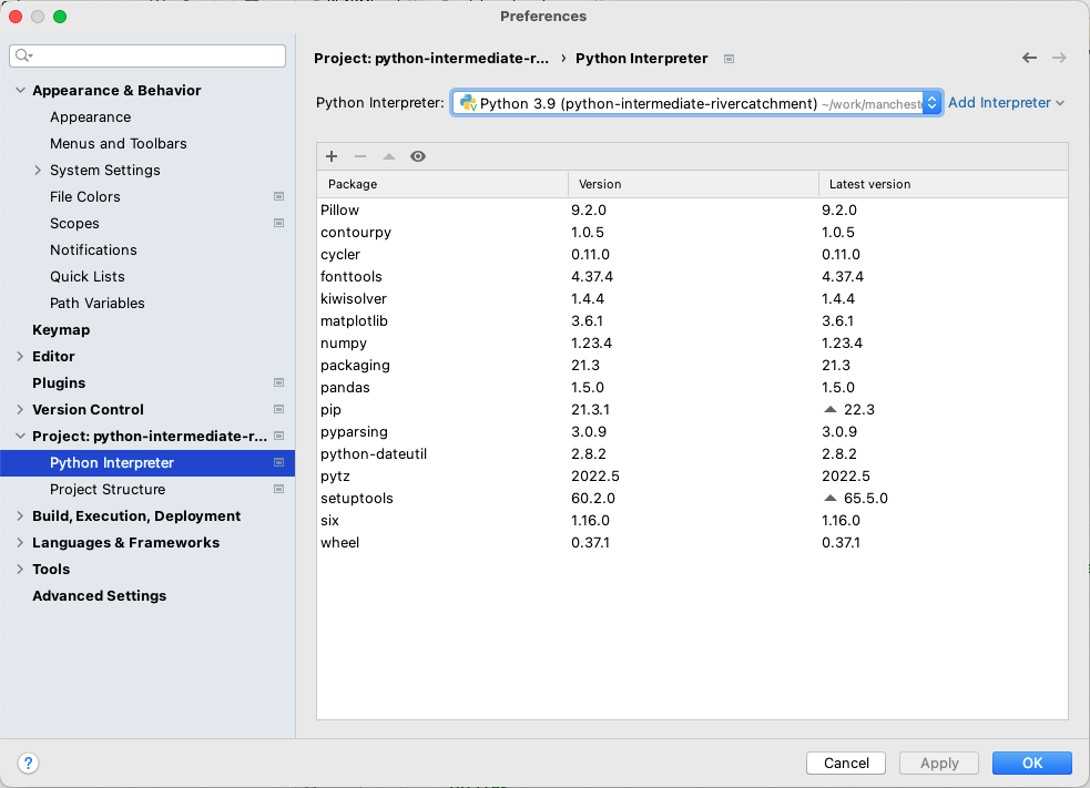 Packages Currently Installed in a Virtual Environment in PyCharm