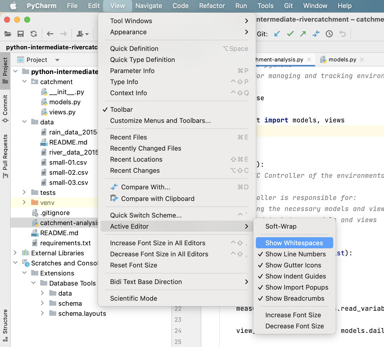 Python code whitespace settings in PyCharm